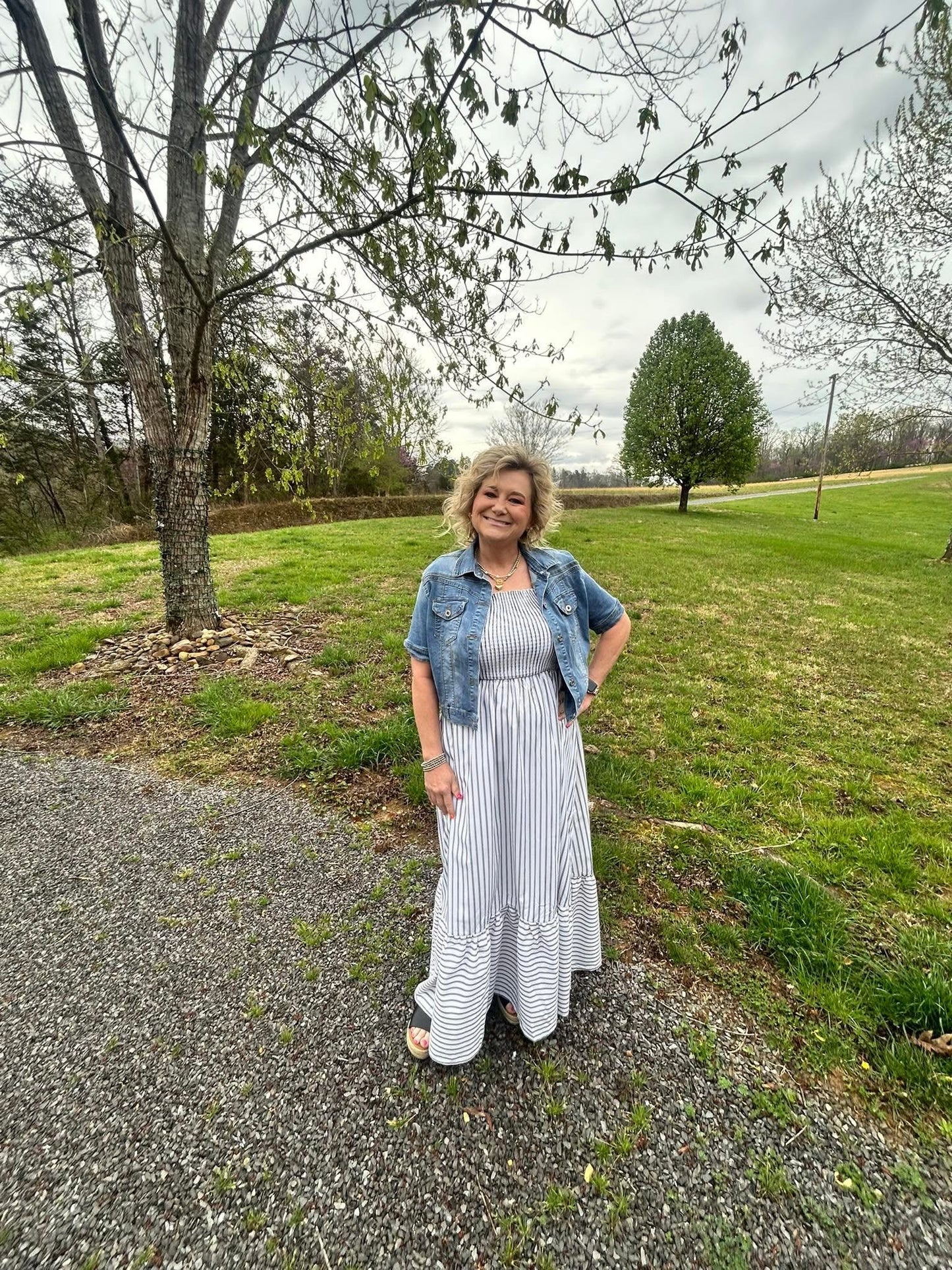 Striped Smocked Bodice Poplin Dress