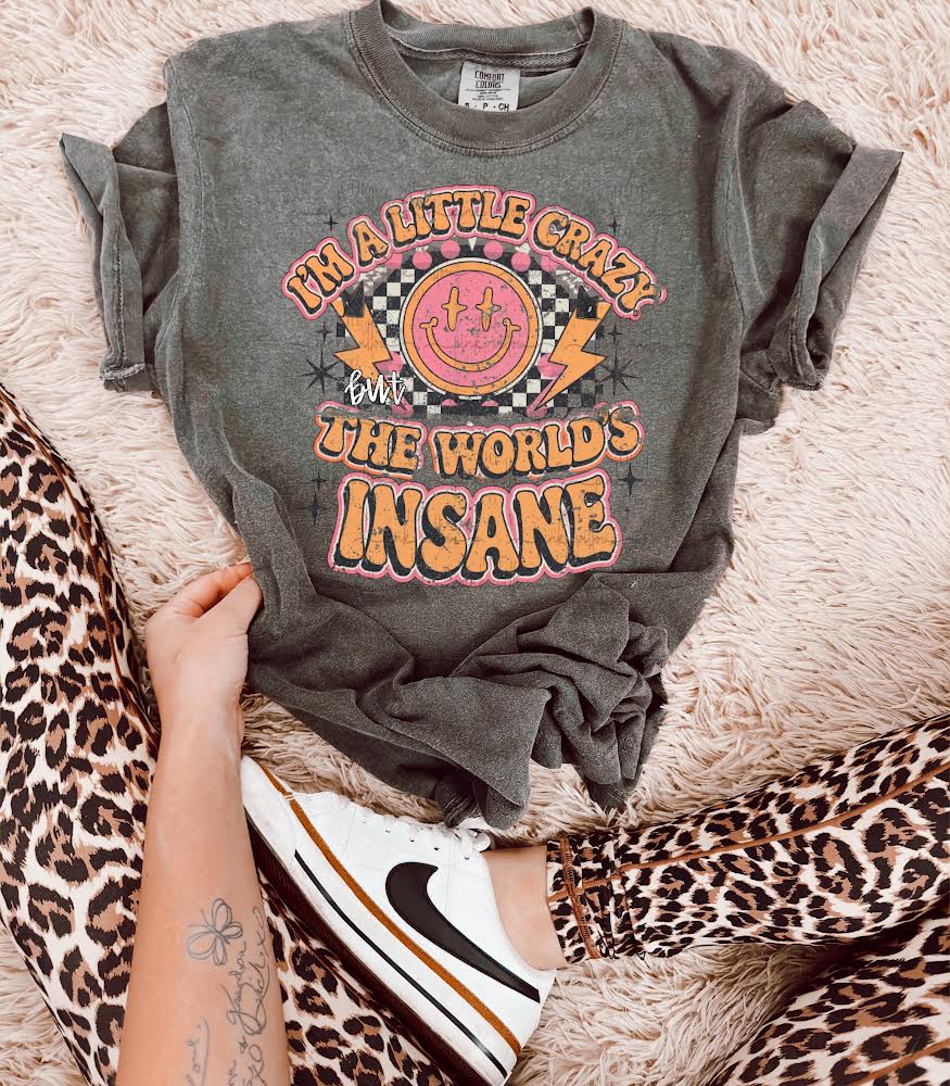 I’m a Little Crazy But the World’s Insane Comfort Colors Graphic Tee