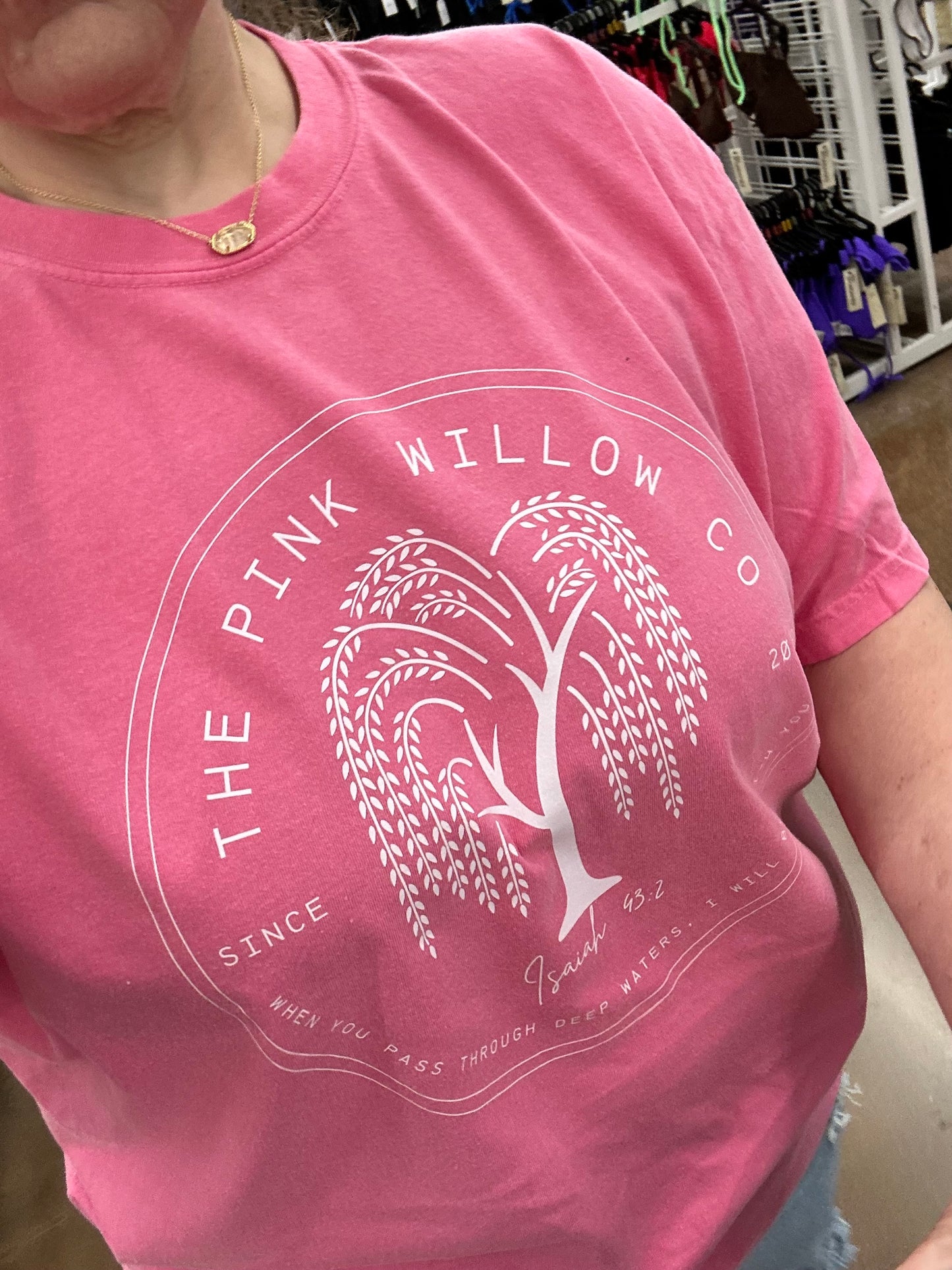 The Pink Willow Co Isaiah 43:2 Comfort Colors Graphic Tee