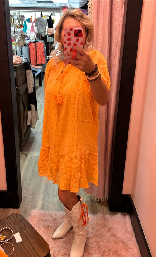 Tassel Tie Gauze Mini Dress
