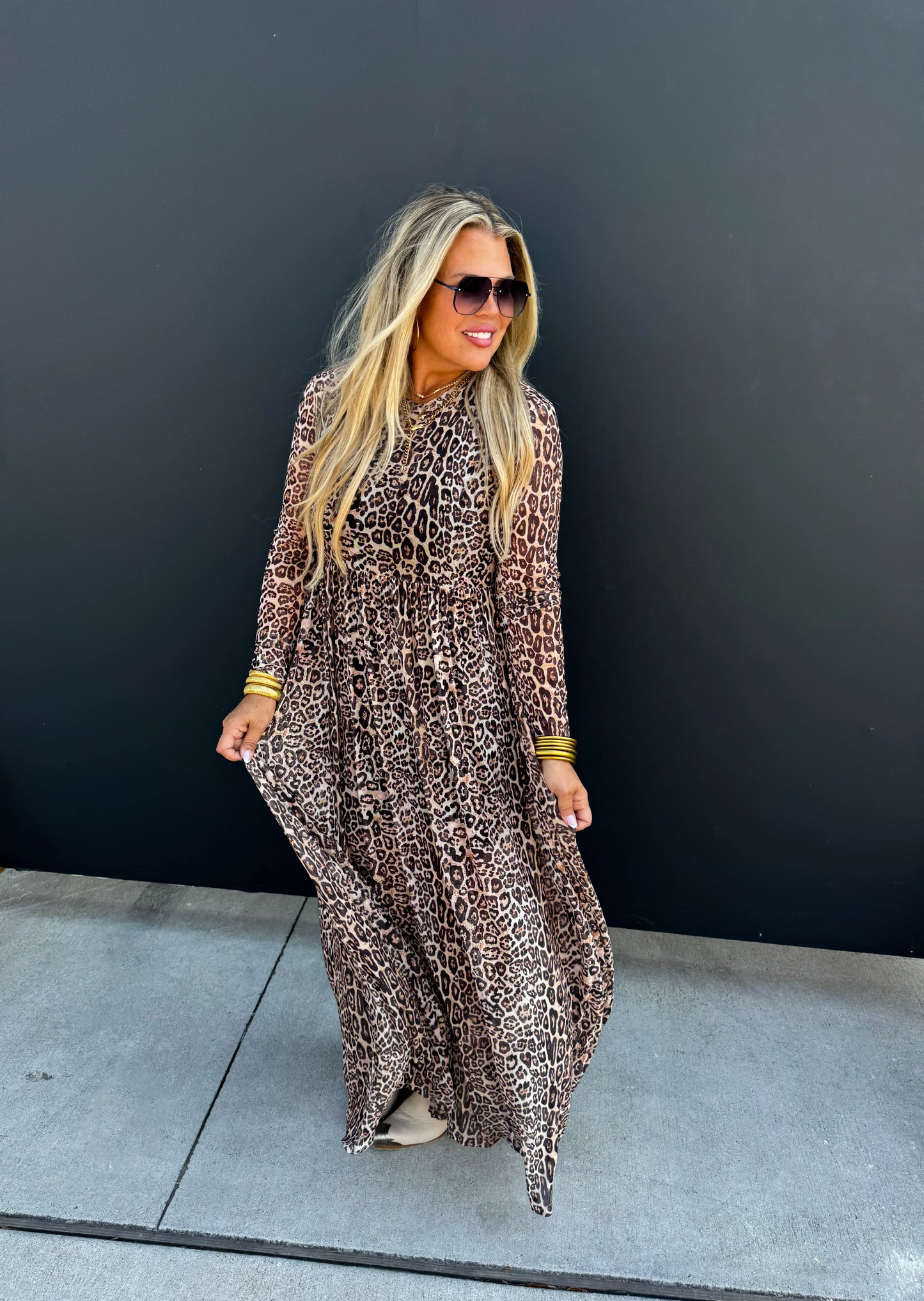 Carmen Sheer Cheetah Dress