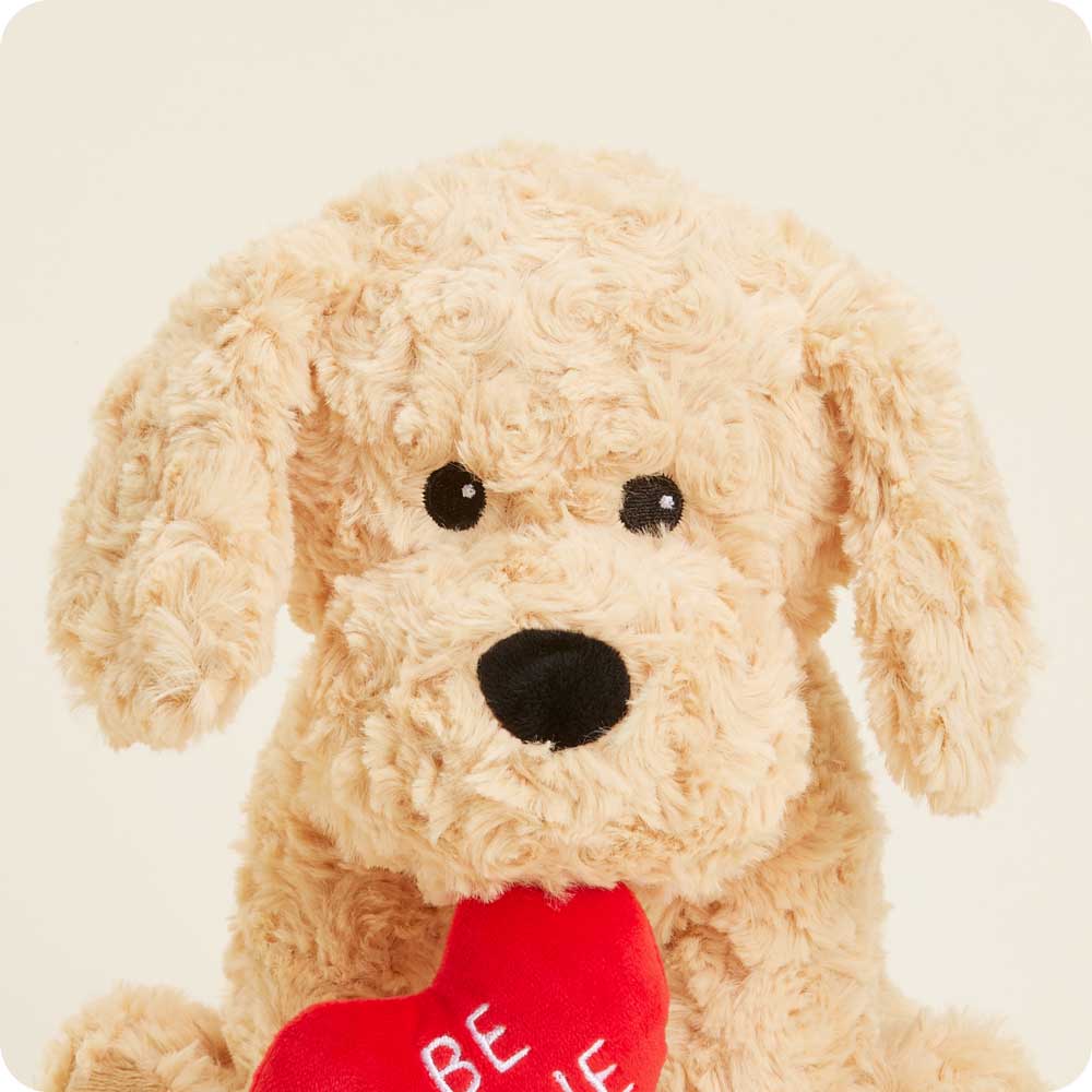 Warmies Be Mine Golden Dog