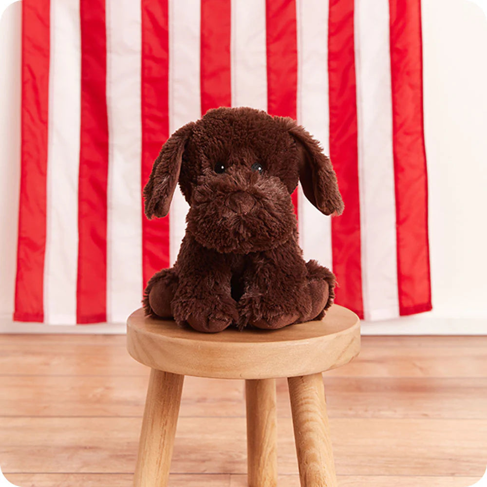 Warmies Chocolate Labrador