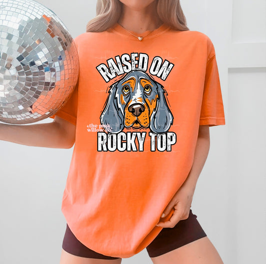 Raised on Rocky Top Comfort Colors Tee