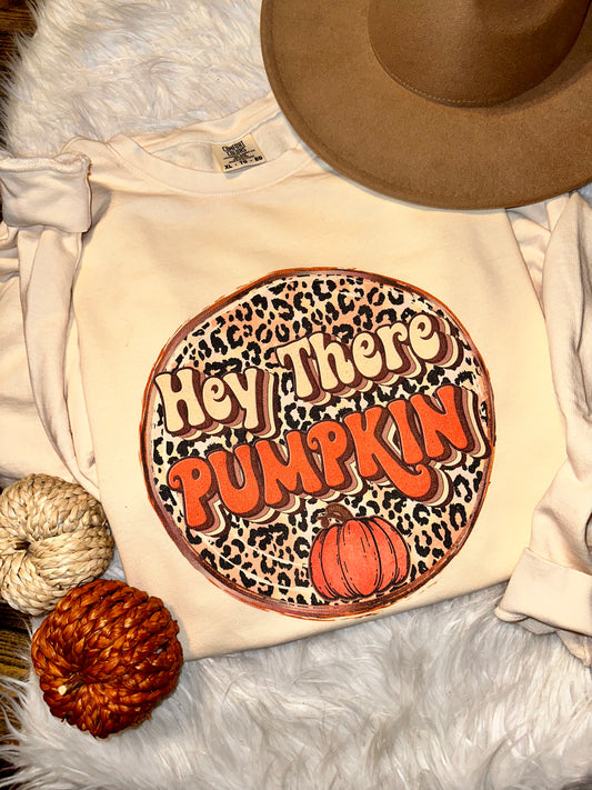 Hey There Pumpkin Comfort Colors Graphic Tee/Sweatshirt