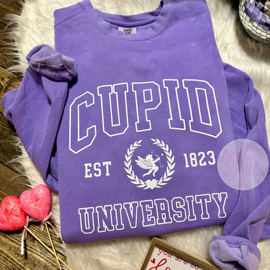 Cupid University Comfort Colors Graphic Tee/Sweatshirt