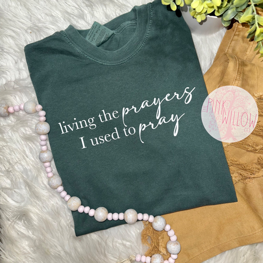 Living the Prayers I Used to Pray Comfort Colors Graphic Tee