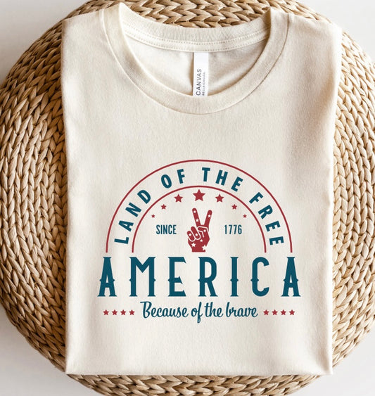 Land of the Free Because of the Brave Graphic Tee